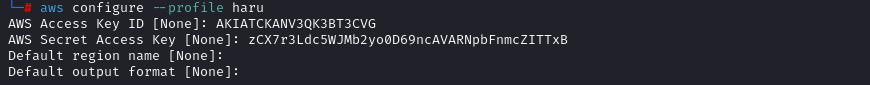 Let's use these credentials to see what else we can discover in the AWS account.