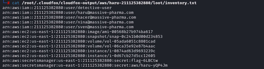 Once the CloudFox command has completed, one of the first things to examine is the inventory it has