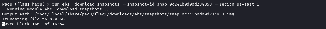 $ run ebs__download_snapshots --snapshot-id snap-0c241b0d00d234853 --region us-east-1