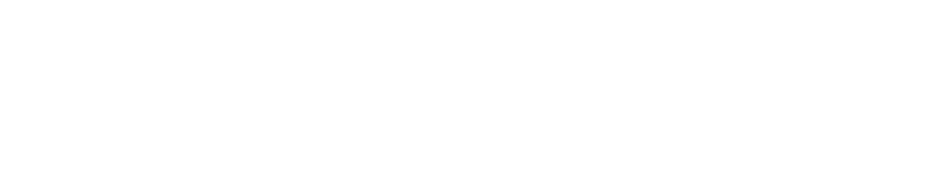 Hybrid
